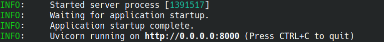 Server running in a terminal